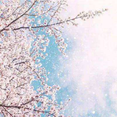 ayx爱游戏app下载